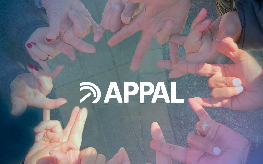 Rapport annuel 2023-2024